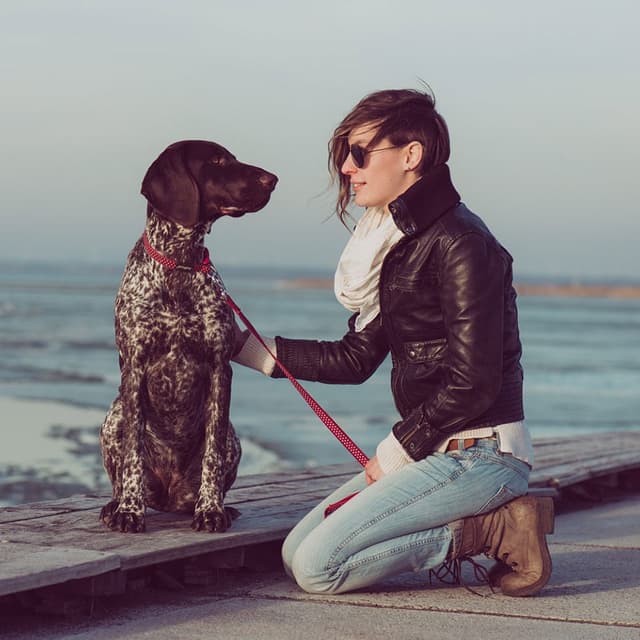 Image of Canine Communication