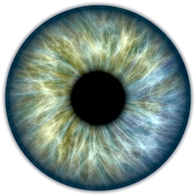 Image of Iridology