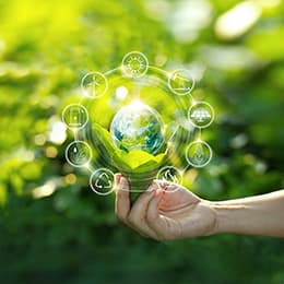 Image of Ecology