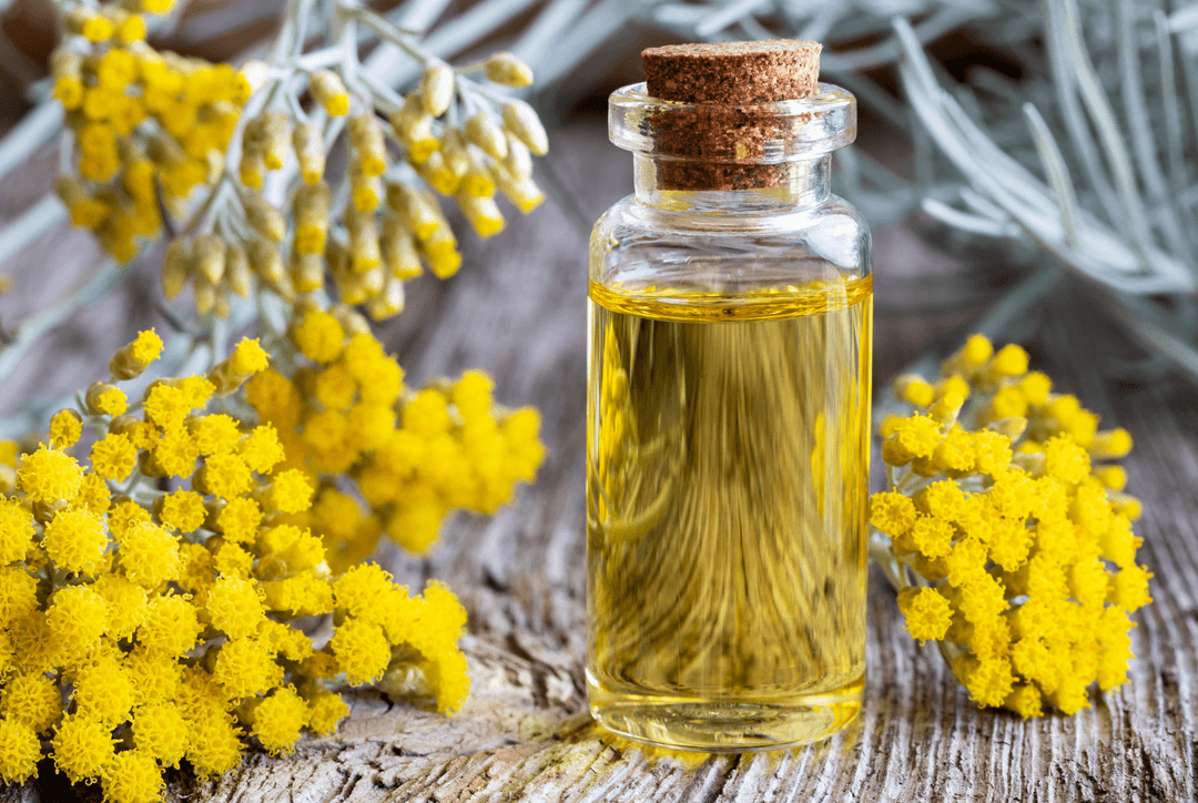 Helichrysum Oil for Your Skin: Uses and Benefits Thumbnail