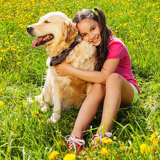 Image of Essential Oils for Children and Animals