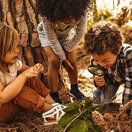 Image of Introduction to Forest Schooling Diploma Course