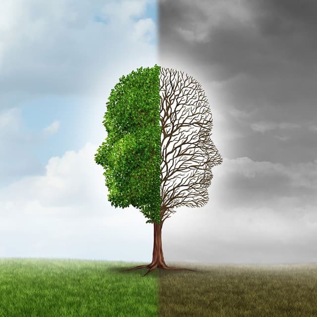 Image of Mindful Mental Health