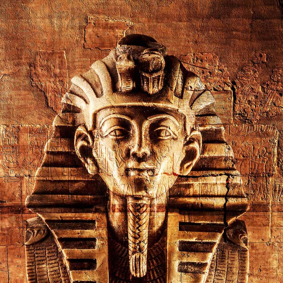 Image of Egyptology