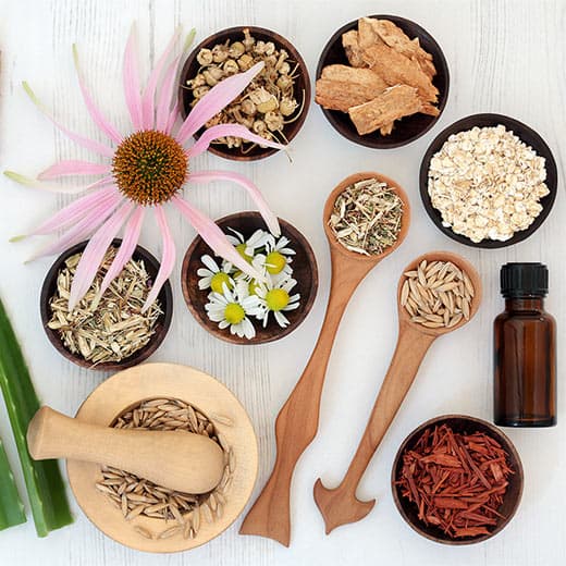 Image of Ayurvedic Skincare and Haircare