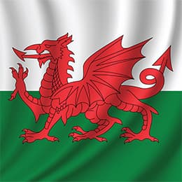 Image of Welsh for Beginners