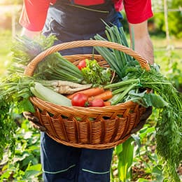 Image of Homesteading