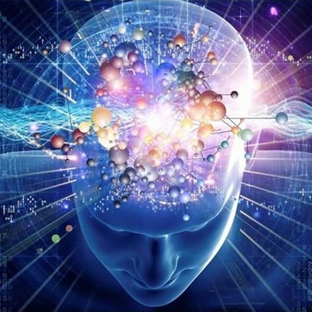 Image of Psychology