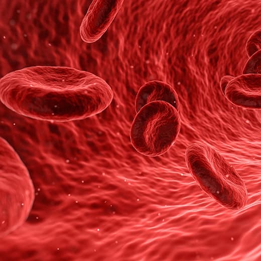Image of Clinical Blood Analysis