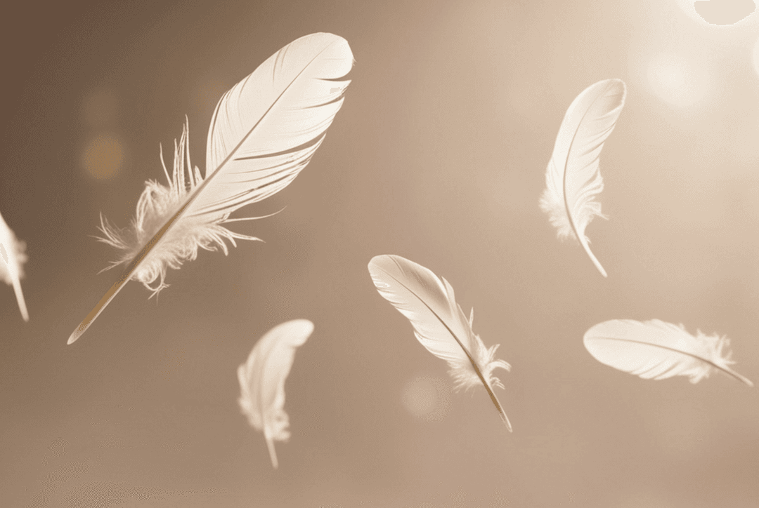 White Feather Meaning: Spiritual Symbolism & What It Means When You Find One Thumbnail