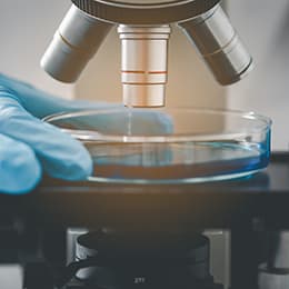 Image of Microbiology