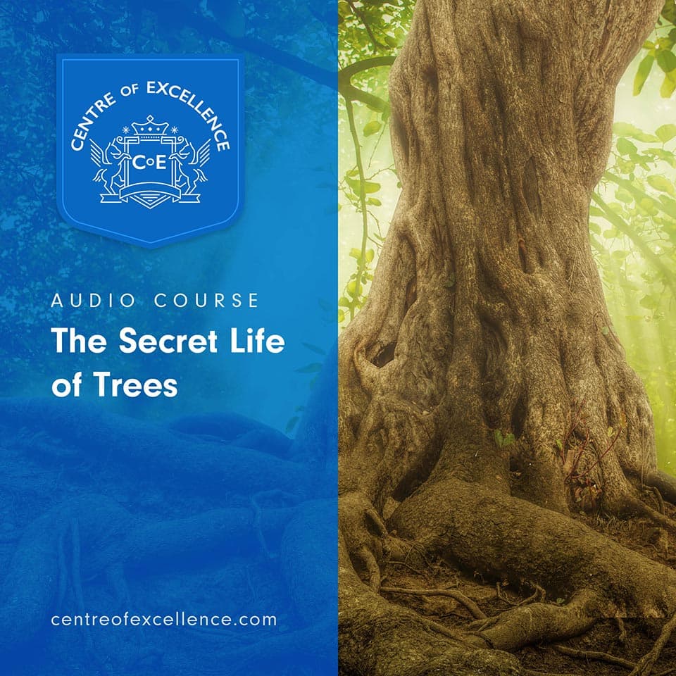 Image of The Secret Life of Trees Audio Course