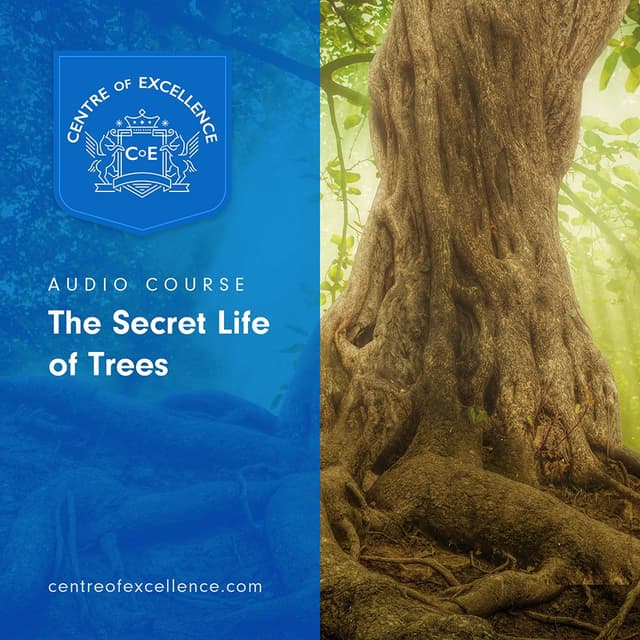 Image of The Secret Life of Trees