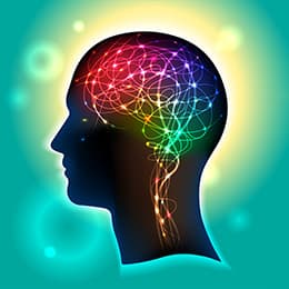 Image of Neuroplasticity