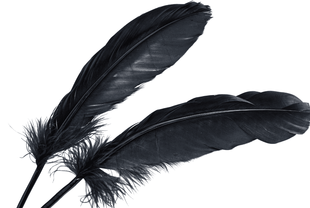 Black Feather Meaning: Spiritual Symbolism & What It Means When You Find One Thumbnail