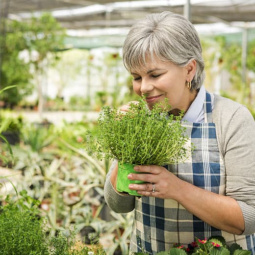Image of Herbalism for the Elderly