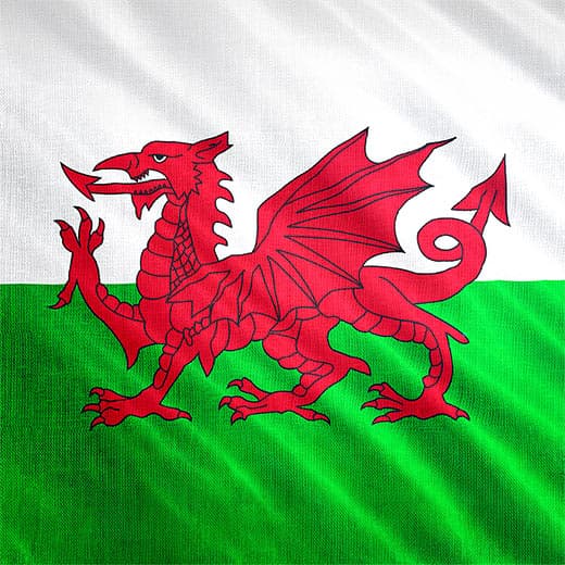 Image of Welsh History