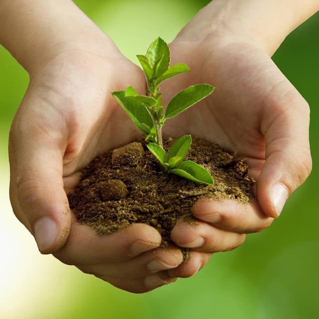 Image of Gardening and Landscape Design Business