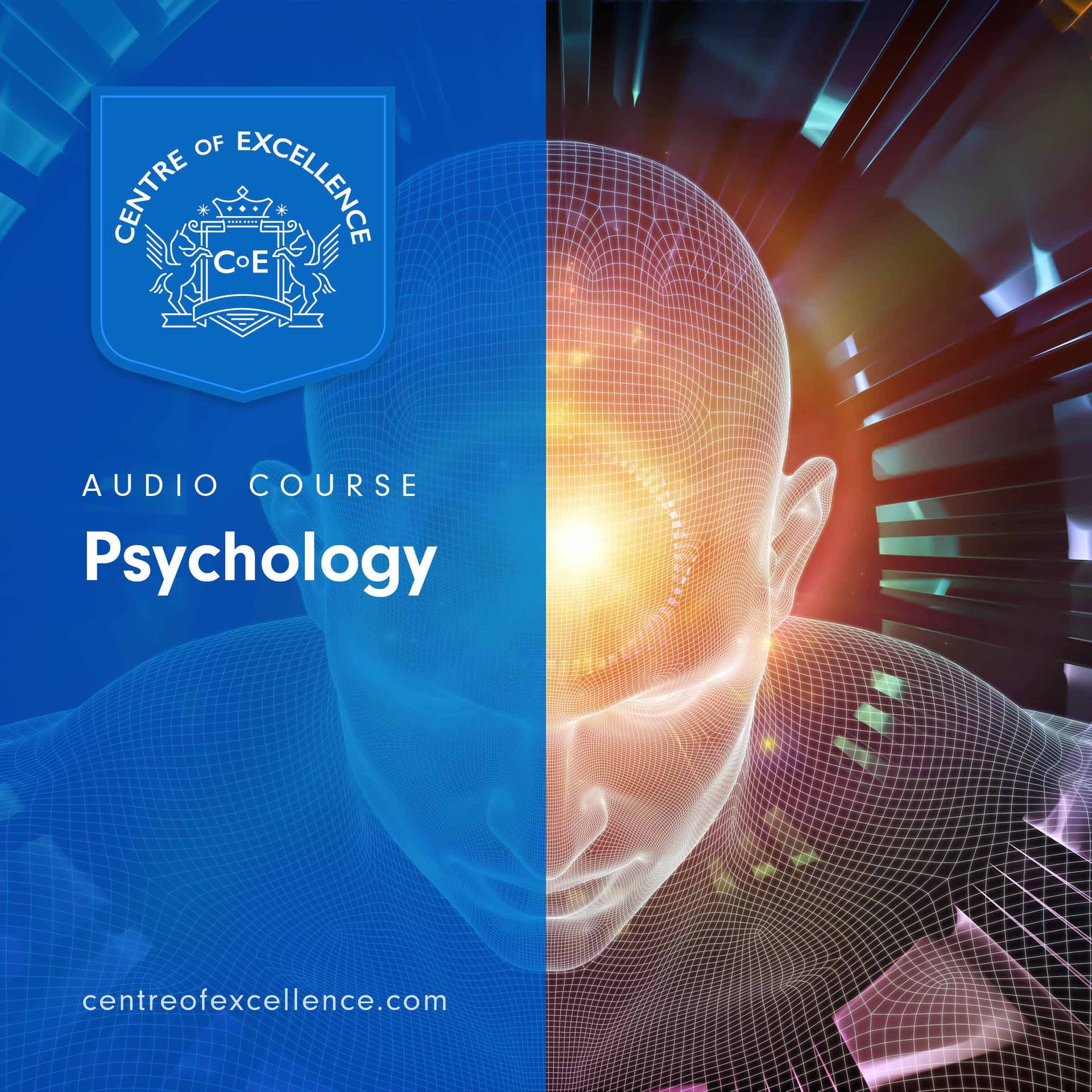 Image of Psychology Audio Course