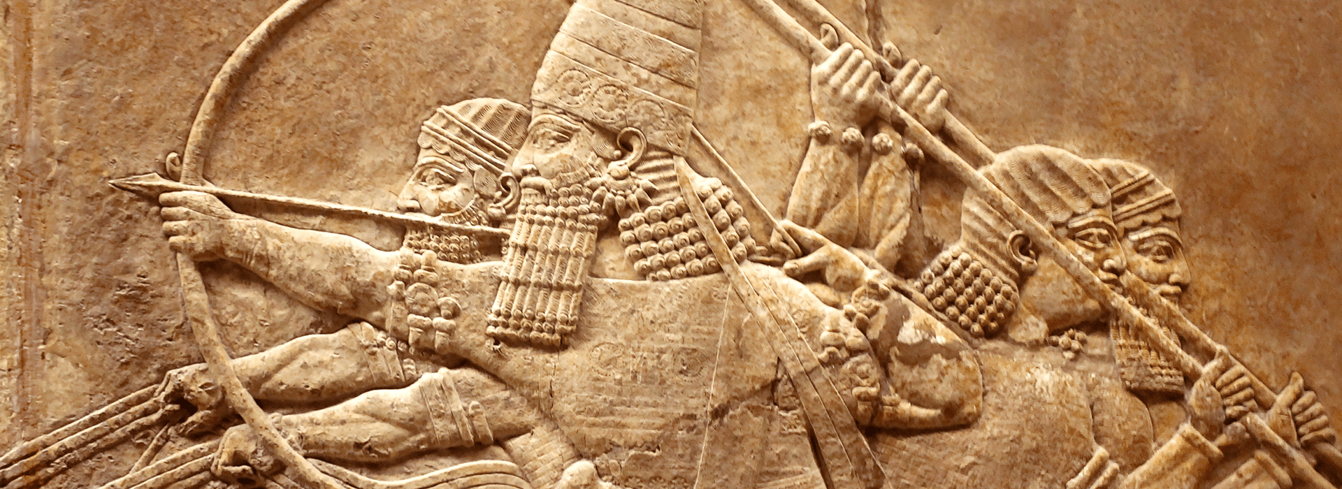 Image for History Courses