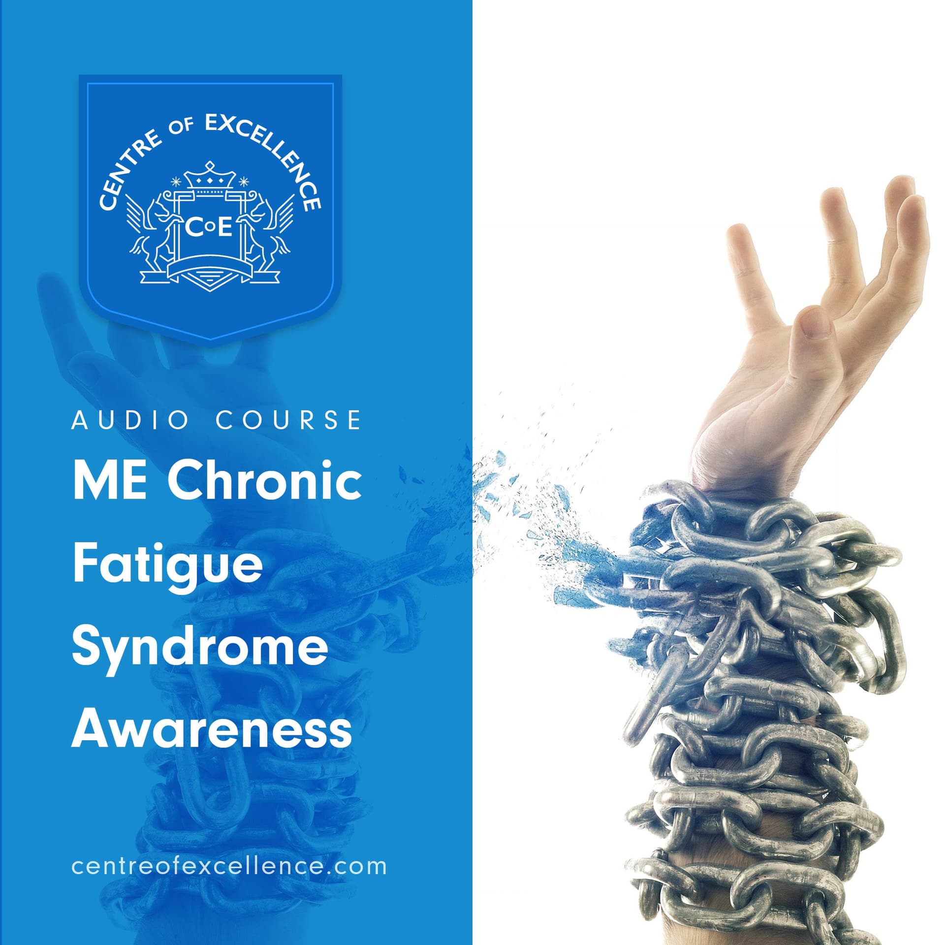 Image of ME/Chronic Fatigue Syndrome Awareness Audio Course