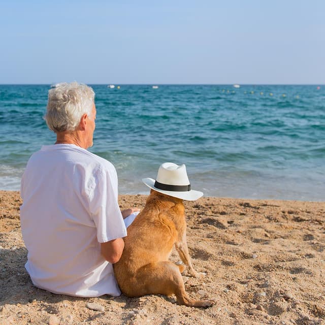 Image of Pet Bereavement Counsellor