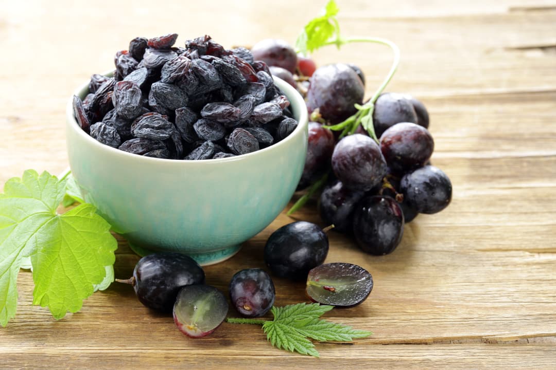 Image of 30 Foods to Never Give Your Dog – And Why!