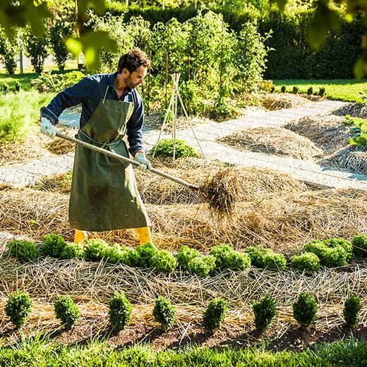 Image of Permaculture Design