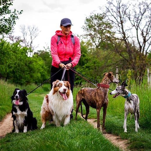 Image of Professional Pet Sitting