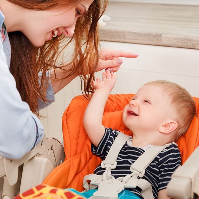 Image of Baby Sign Language