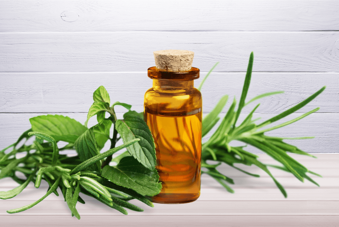 Tea Tree Oil for Your Skin: Uses and Benefits Thumbnail