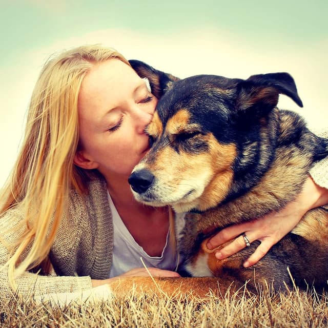 Image of Animal Welfare