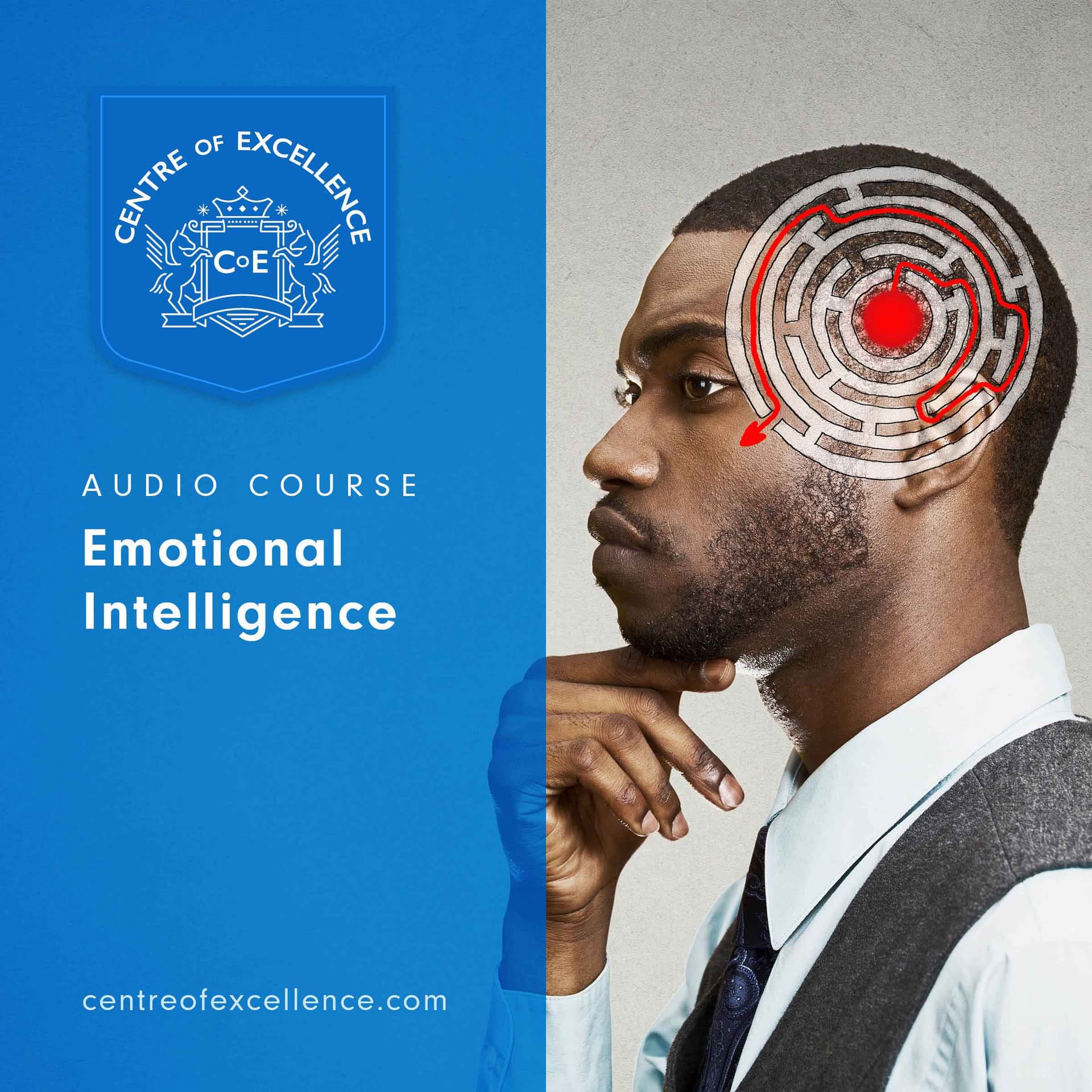Image of Emotional Intelligence Audio Course