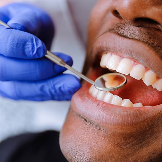 Image of Introduction to Dentistry