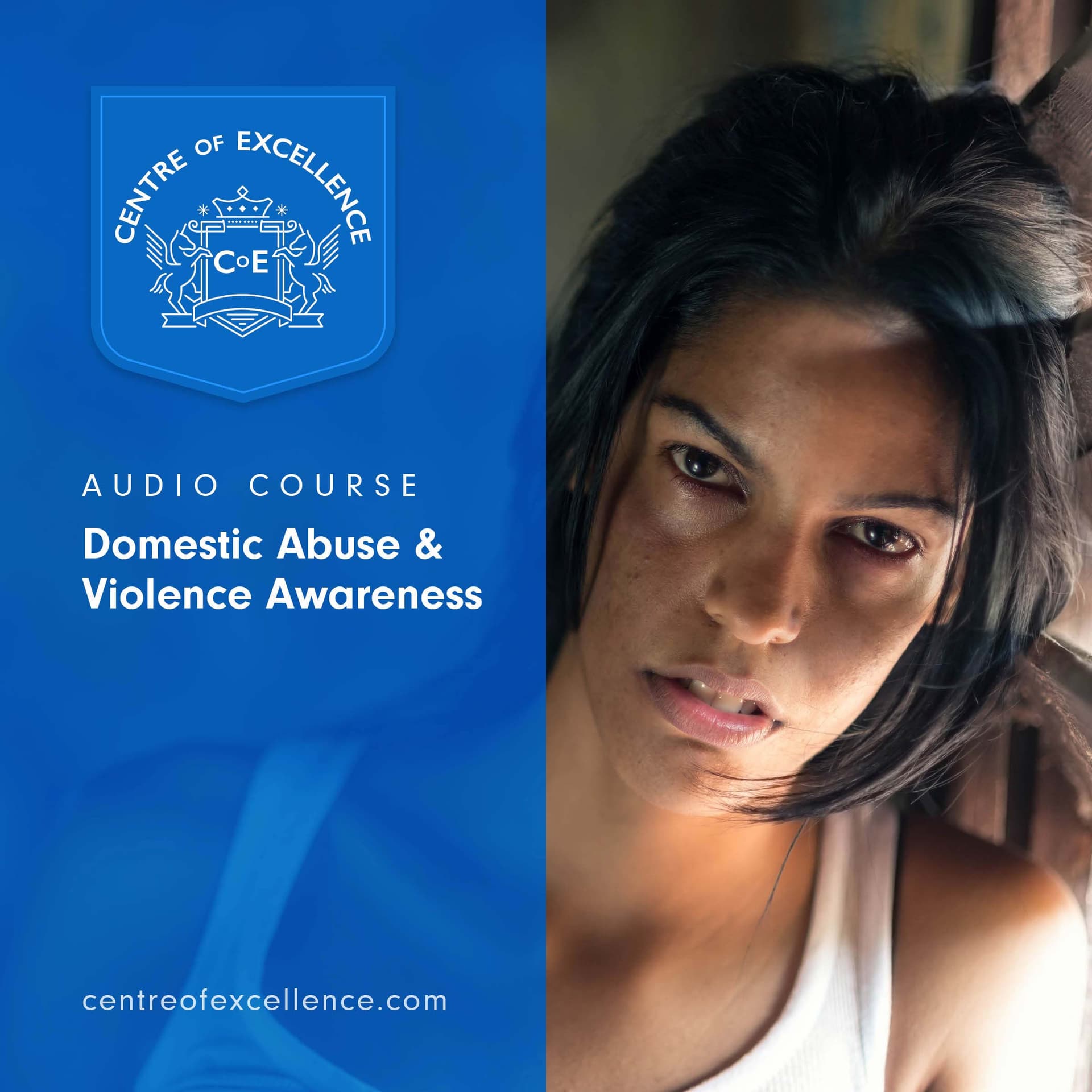 Image of Domestic Abuse & Violence Awareness Audio Course