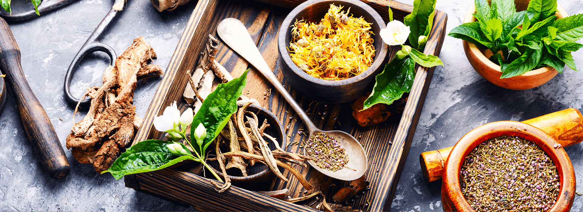 Image for Herbalist Courses