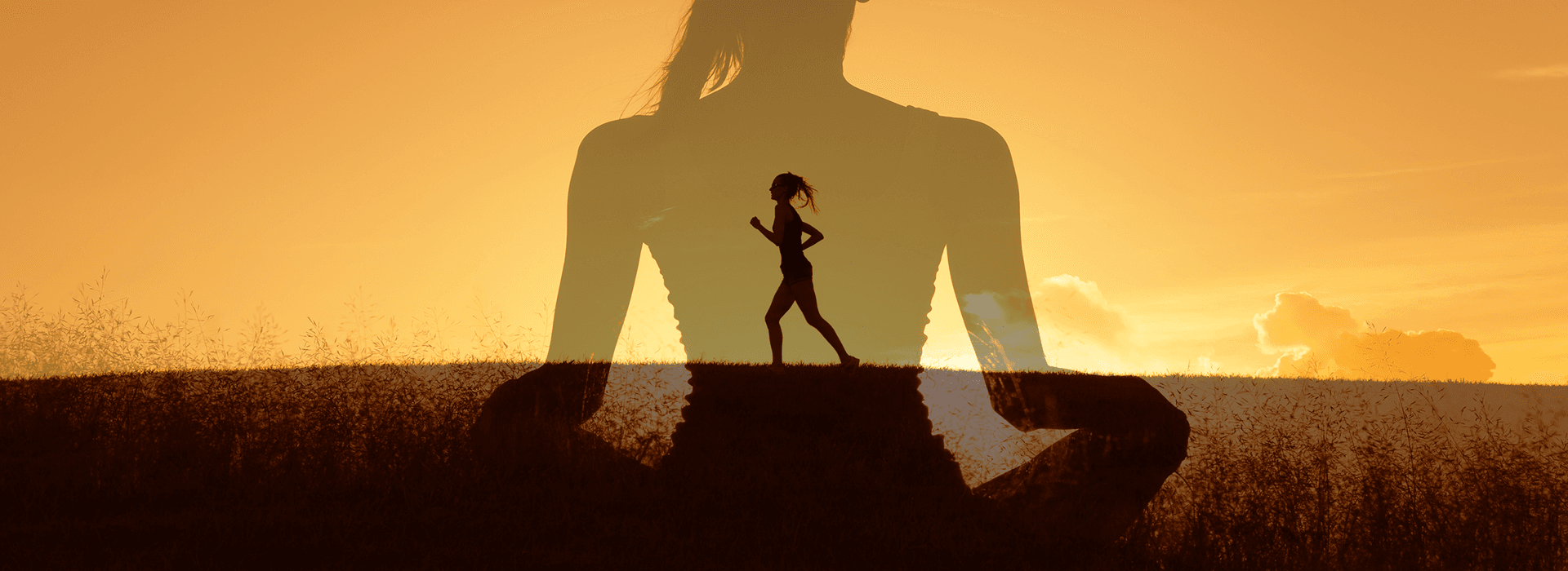 Image for Neuro Linguistic Programming Courses