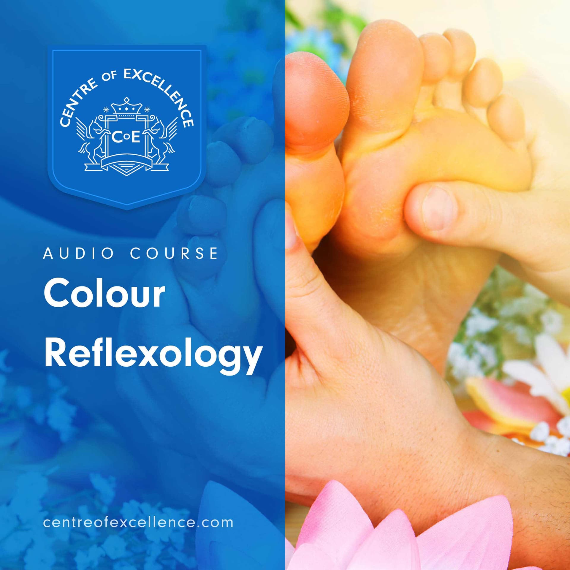 Image of Colour Reflexology Audio Course