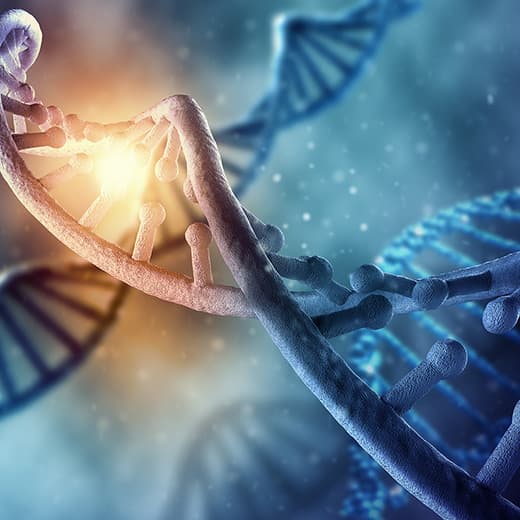 Image of Genetics