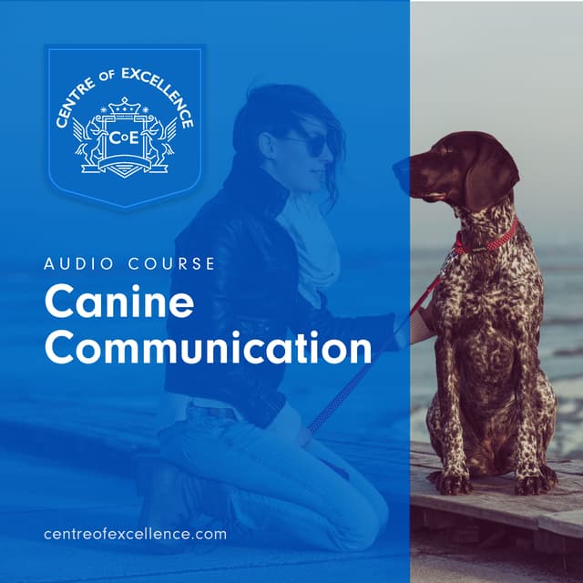 Image of Canine Communication