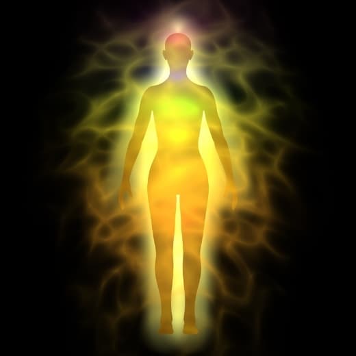 Image of Subtle Body Anatomy