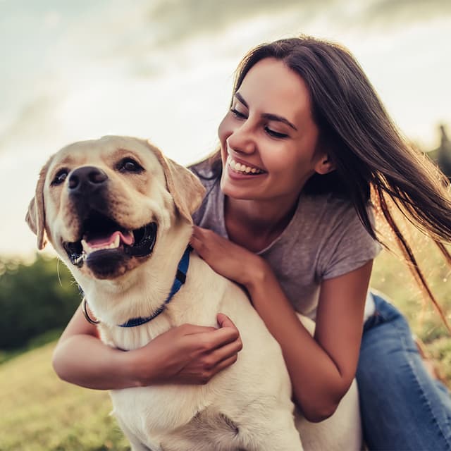 Image of Canine First Aid