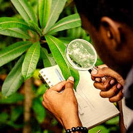 Image of Botany
