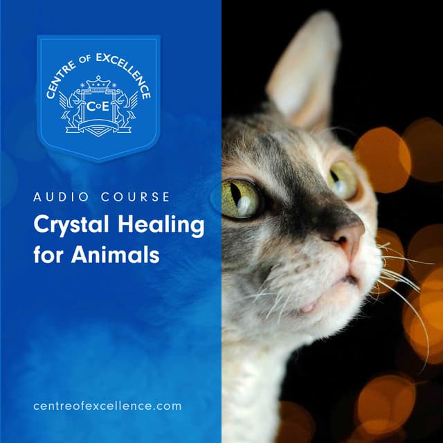 Image of Crystal Healing for Animals