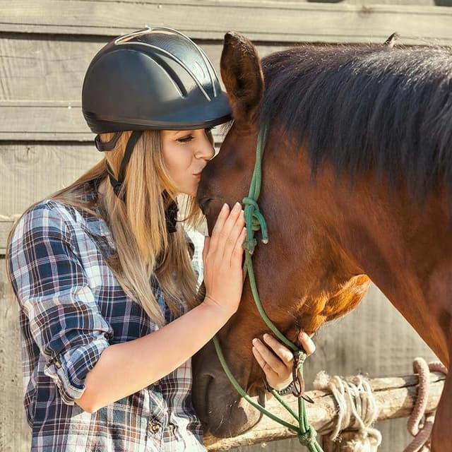 Image of Horse Care & Management