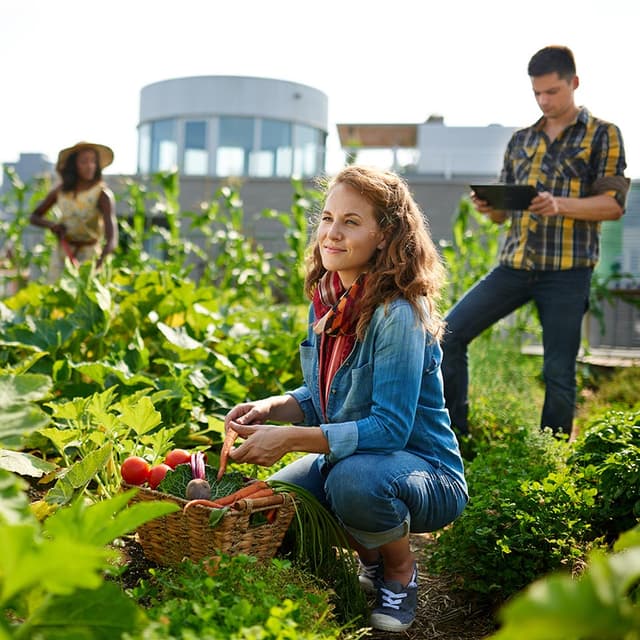 Image of Organic Gardening