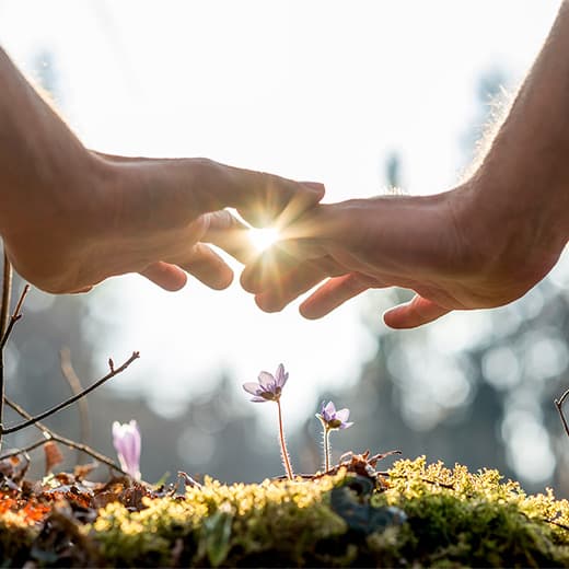 Image of Plant Spirit Healing