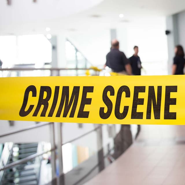Image of Criminal Psychologist