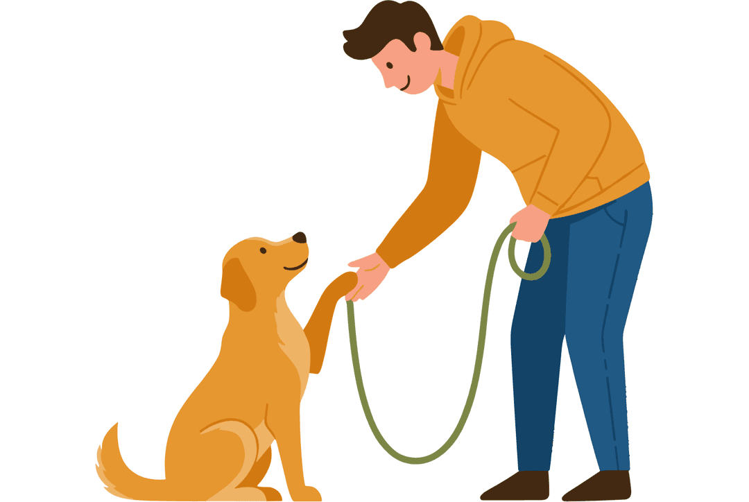 UK Dog Trainer Salary: What Can You Actually Earn as a Dog Trainer? Thumbnail