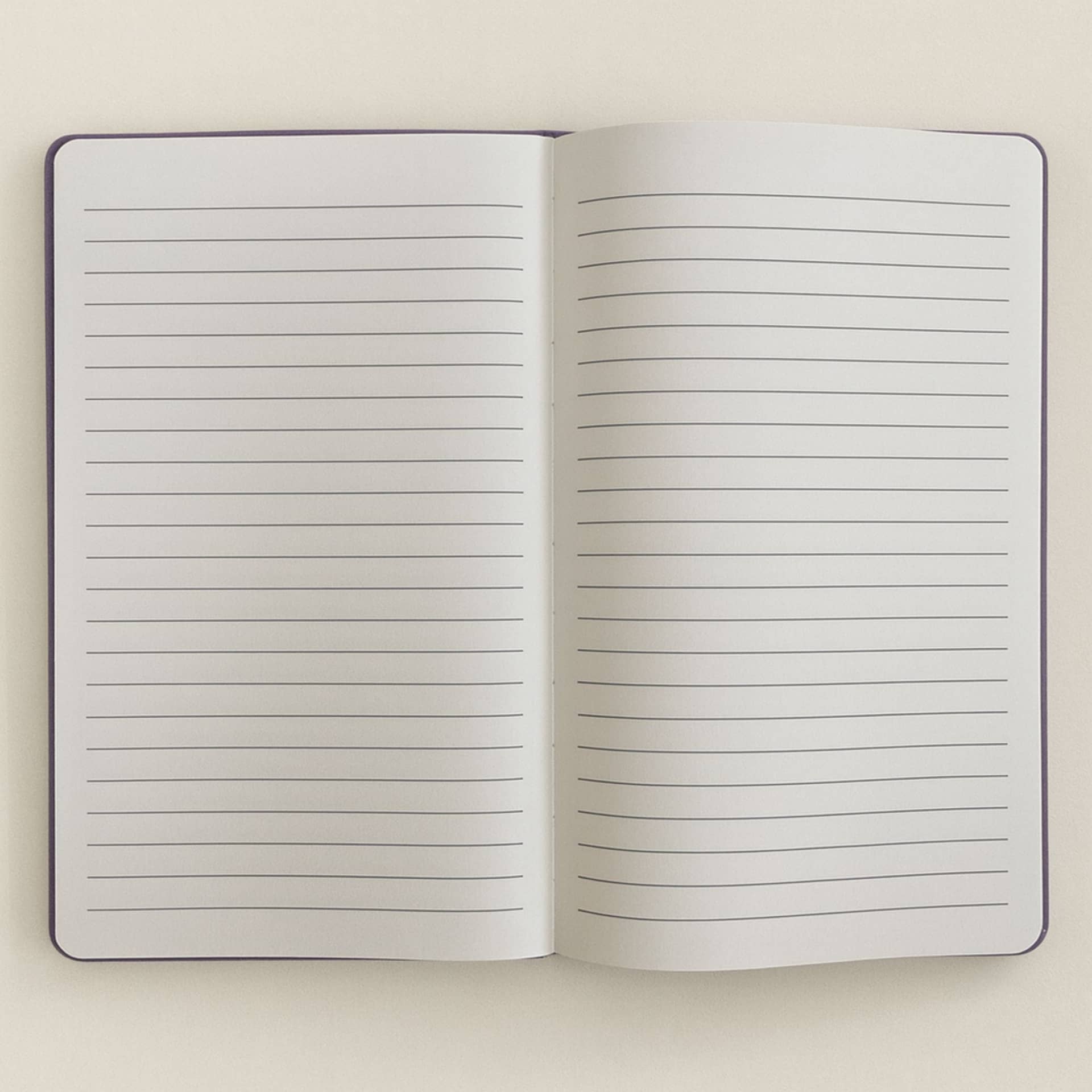 Purple velvet notebook open to lined pages